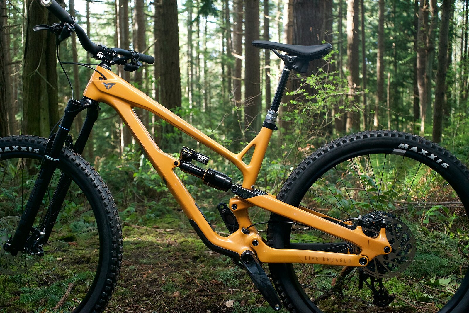 Bike Review | YT Jeffsy Uncaged 8 | Freehub Magazine